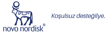 Novo Nordisk Logo